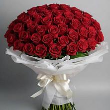 Букет 101 Красная роза Блэк Мэджик в Махмуде-Мектебе