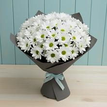 Букет цветов из:  Хризантемы в Махмуде-Мектебе