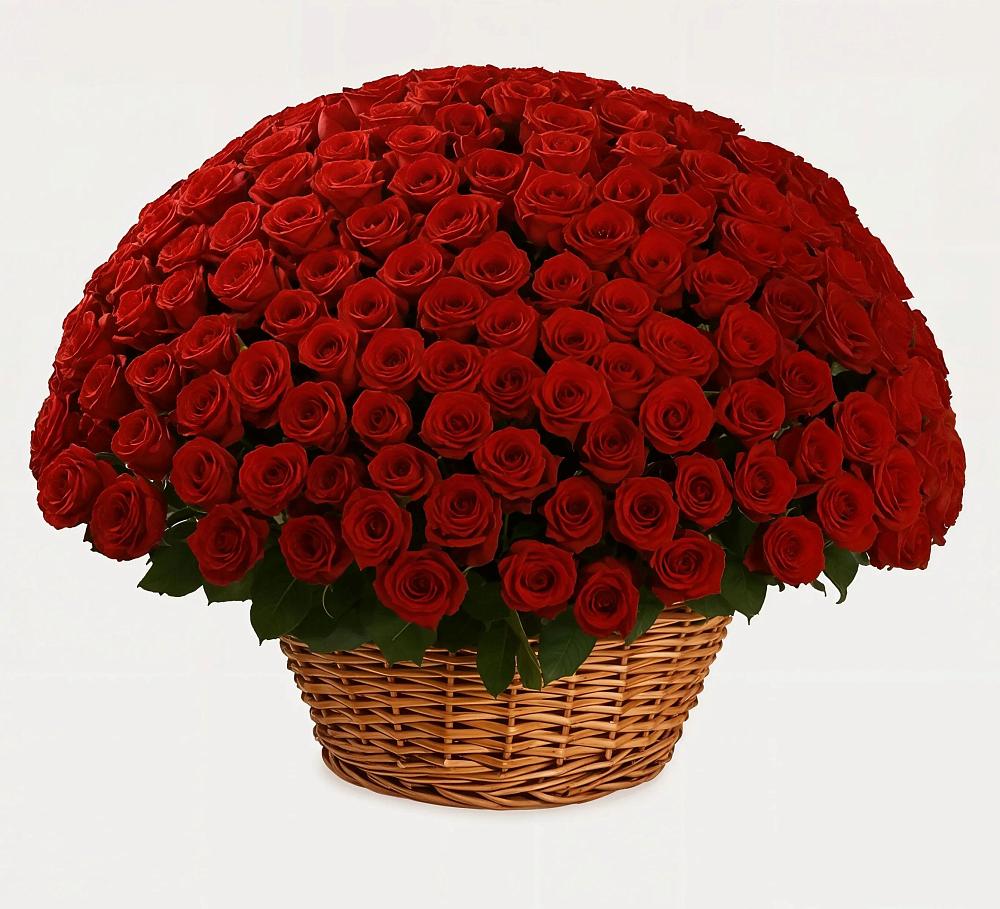 Премиум букет из: Розы в Махмуде-Мектебе