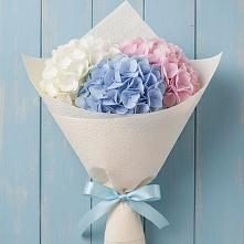 Букет цветов из:  Гортензия в Махмуде-Мектебе