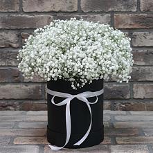 Цветочная композиция из Гипсофила в шляпной коробке #REPLACE_PRED# Махмуде-Мектебе