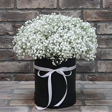 Цветочная композиция из Гипсофила в шляпной коробке в Махмуде-Мектебе