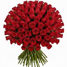 Букет Красные розы Чери Лав #REPLACE_PRED# Махмуде-Мектебе
