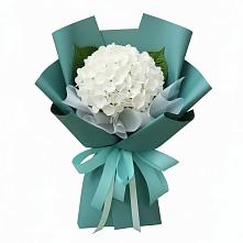 Букет цветов из:  Гортензия в Махмуде-Мектебе